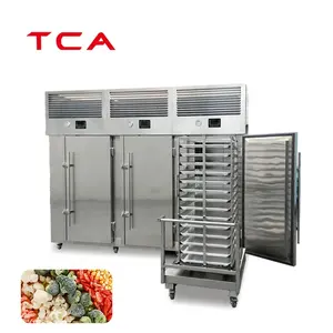 Armario congelador TCA Congelador de 1 a 4 puertas 15 a 60 bandejas Fruta Pescado Congelador de ternera