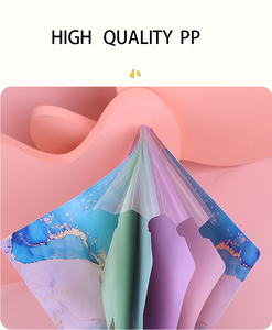 Bán buôn PP mở rộng tập tin thư mục <span class=keywords><strong>5</strong></span> túi thiết kế đẹp tài liệu tổ chức A4/Thư kích thước biểu tượng tùy chỉnh thăng hoa/UV - Product Image 3