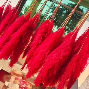 Wholesale tall natural dry pampas big fluffy wedding decorative orange purple pink red white dried colored pampas grass for sale