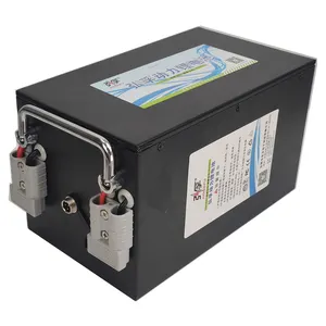 Batterie Li-ion Rechargeable 24V 40ah pour Robot AVG avec Communication Rs485/rs232/can, Batteries Lihium personnalisées, Pack boîte en Carton