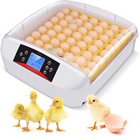 Nouvelle tendance 2023 : Incubateur d'œufs automatique 56A 110V économique et durable avec écran LED