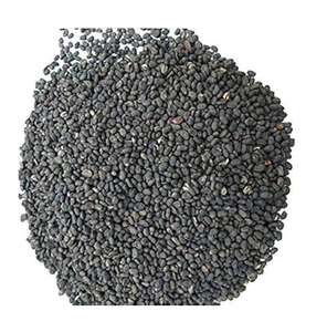 Semillas de Babchi de la mejor calidad, semillas de Psoralea Corylifolia Bauchi utilizadas para tratar diversas enfermedades de la piel, disponibles a buen precio - Product Image 1