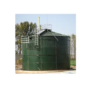 Sıcak satış çift membran biyo gaz basınç pompası bio gaz santrali sistemi ev için inek gübre atık biyogaz tesisi İngiltere'de