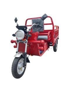 Triciclos Eléctricos para Adultos 2026, Scooter Eléctrico de Más de 1000W, Motocicleta de Tres Ruedas con Plataforma Abierta para Carga Agrícola - Product Image 3