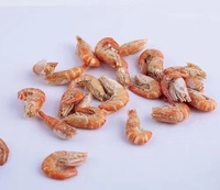 Crevettes lyophilisées pour animaux de compagnie/Krill/Gammarus séché au soleil