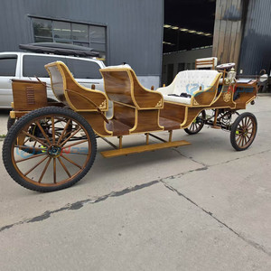 Charrette électrique de luxe pour 9 personnes, fabrication chinoise de la marque Zhenda, structure en acier, idéale pour les visites touristiques haut de gamme. - Product Image 2