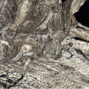 Murale décorative murale carrée à texture d'écorce et cadre marron pour fond de canapé, vente en gros, pour entrée de maison d'hôtes et hall d'accueil, traitée - Product Image 4