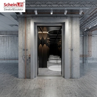 Ascenseur de passagers moderne sans machine, sans engrenages, AC, 250kg-630kg, 4 arrêts, en acier inoxydable noir titane avec gravure miroir, pour extérieur