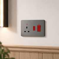 Interrupteur mural double pôle gris OEM avec prise 13A et voyant néon, vente en gros