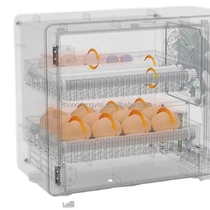 Equipo de Avicultura, Mini Incubadora de 24 Huevos para Codornices, Gansos y Patos, Incubadora de Huevos de Gallina, 220V Doble - Product Image 3
