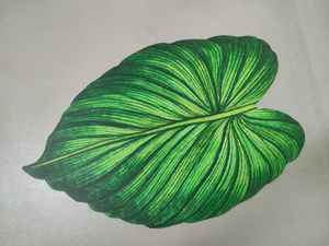 Tapis de bain Tapete Para Banheiro Séchage rapide Absorption d'eau Polyester Tapis de salle de bain - Product Image 2