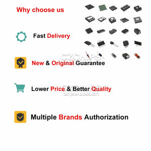 Precios competitivos VS1011B/LSR Microcontrolador de circuito integrado IC CZSKU:NJ502MQX17 - Product Image 5