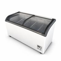 Congélateur horizontal commercial à couvercle en verre pour la présentation de glaces, idéal pour les magasins d'alimentation - Vente chaude