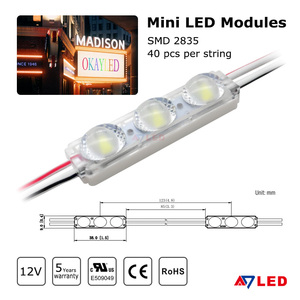 2 Pcs Par Chaîne Mini Module LED 5 Ans de Garantie SMD2835 12V 3809 mm 0.72w 6500k 9000k IP66 3 LEDs Dimmable - Product Image 6