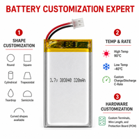 Batterie Polymère Carrée Rechargeable OEM Personnalisée 3.7V 320mAh pour Passerelle Intelligente / Hub, Rasoir Électrique