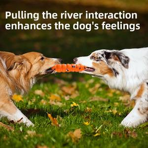 Jouets d'entraînement pour chiens en ETPU, écologiques, rechargeables, interactifs, pour l'extérieur : disque volant, anneau, <span class=keywords><strong>jouet</strong></span> à mâcher, <span class=keywords><strong>jouet</strong></span> de tirage à la corde, volant - Product Image 5