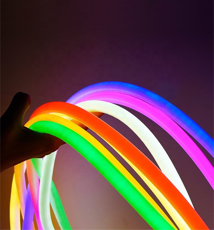 High Quality Silicone Neon Neon Lighting Sign Custom Flexible Neon LED Advertising Light Box · image 6