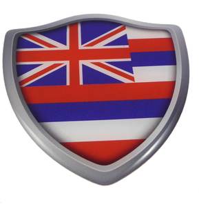 : 1 <span class=keywords><strong>Kit</strong></span> Flexível PU <span class=keywords><strong>Doming</strong></span> Resina 200ml - Product Image 4