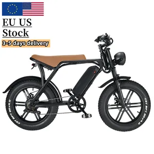 공장 도매 fatbike 250W 전기 자전거 20 인치 * 4.0 지방 타이어 전기 자전거 전기 하이브리드 자전거