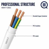Proveedor Mayorista de Cables H05VV-F, Cable Eléctrico Personalizado OEM/ODM, Cable de Cobre Multifilar para Cableado Interno General