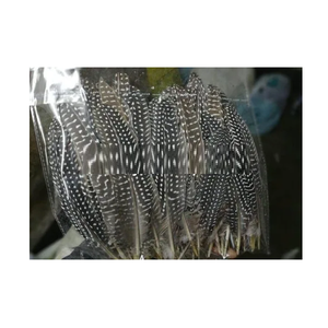 Plumes teintées de 8 pouces, artisanat de luxe fait à la main, projets d'art DIY, décoration de mariage et de la maison, conception de costumes créatifs - Product Image 1