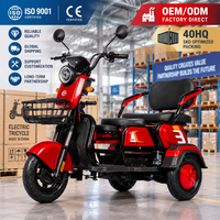 Tricycle Électrique 3 Roues 1000W d'Usine OEM, Scooter de Loisirs Robuste 200KG, Triple Frein, 3 Passagers, Carrosserie Ouverte, CE