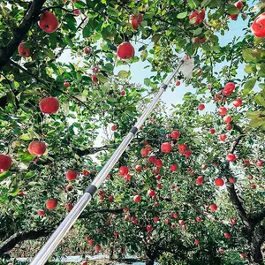 Recolector de manzanas de jardín de 4,2 M con mango telescópico, herramienta telescópica para recoger frutas con poste de conexión ligero de acero inoxidable