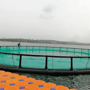 Storm Resistant Trout Sea bass Sea bream Culturing Floating HDPE Fishing Cages in Deep Sea