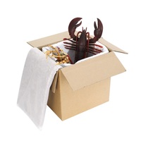 Boîtes en carton isothermes personnalisées en gros, super résistantes et épaissies, emballage express en carton