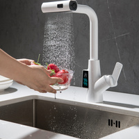 Nouvelle conception Robinet de cuisine monocommande extractible avec affichage numérique de la température, cascade de pluie, mélangeur eau chaude et froide