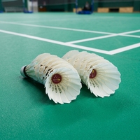 Volant de badminton en plumes de canard de qualité supérieure, conception robuste pour un vol stable et durable, idéal pour l'entraînement en extérieur pour les joueurs de club
