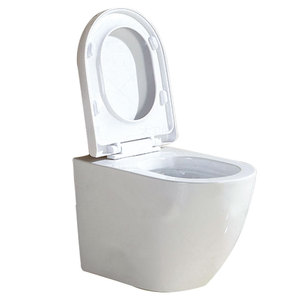 Professinal Bathroom Washdown One Piece Wall Hung P-tray <strong>WC</strong> Toilet