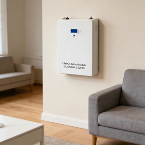 Batería Powerwall 5KWH Lifepo4 <span class=keywords><strong>de</strong></span> 51.2v 300ah 200ah 280ah 100ah, Montada en Pared, Batería <span class=keywords><strong>de</strong></span> <span class=keywords><strong>Iones</strong></span> <span class=keywords><strong>de</strong></span> <span class=keywords><strong>Litio</strong></span> <span class=keywords><strong>de</strong></span> 48V 5KWH con BMS, Más Vendida - Product Image 5