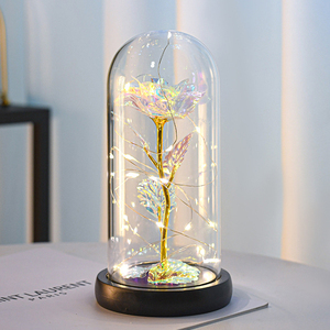 Hadiah Hari Valentine kustom kubah mawar bunga kering lampu Wanita plastik hadiah mawar dengan kotak - Product Image 6