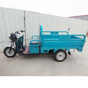 Nuovo Modello di Triciclo Elettrico da Carico a 3 Ruote per Adulti Economico con Display Box da 1000W Bici Elettrica Commerciale per Adulti - Product Image 2