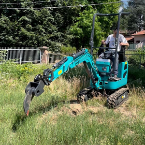 Miniexcavadora SWE08B con orugas de goma para terrenos delicados, construcción de jardines y paisajismo - Product Image 4