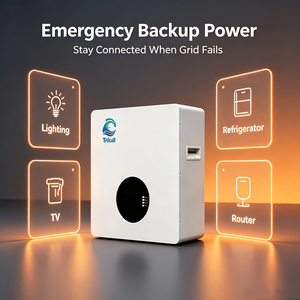 แบตเตอรี่สำรองพลังงานแสงอาทิตย์สำหรับบ้าน Trucell 51.2V แบบติดผนัง LiFePO4 10kWh BMS 300Ah IP65 ระบบไฮบริดกริด รองรับการสื่อสารผ่าน CAN  ใช้งานได้ 6000 รอบการชาร์จ - Product Image 3