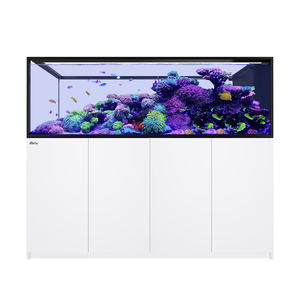 Pantalla <span class=keywords><strong>de</strong></span> Vidrio ReeferG3+ <span class=keywords><strong>de</strong></span> Israel Red Sea para Acuarios <span class=keywords><strong>de</strong></span> Agua Salada, Acuarios <span class=keywords><strong>de</strong></span> Arrecife <span class=keywords><strong>de</strong></span> Coral con Capacidad <span class=keywords><strong>de</strong></span> 170-1000L - Product Image 1