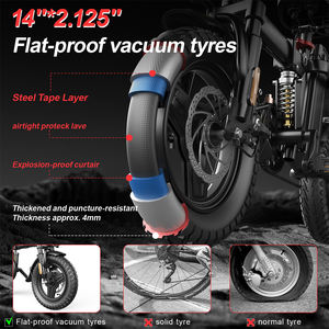 Vélo Électrique Pliant Sans Balais 48V 15Ah Batterie Lithium - Programmes OEM/ODM Directs d'Usine pour les Partenaires de Distribution Mondiale - Product Image 2