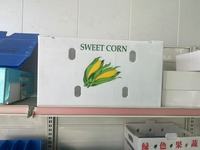 Caja de conservación de transporte de plátano de bambú de plástico PP reciclable con tabla de cortar de hojas para carne, verduras, huevos, semillas, alimentación
