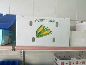 Boîte de conservation de <span class=keywords><strong>transport</strong></span> de <span class=keywords><strong>banane</strong></span> en bambou en plastique PP recyclable avec planche à découper en feuille pour l'alimentation de graines d'oeufs de légumes de viande - Product Image 5