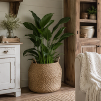 Panier à plantes extra large en jonc de mer tressé à la main pour couvrir les pots d'arbres d'intérieur sur pied avec poignées, style ferme et bohème