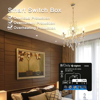 Bilihondim Zigbee Gateway Smart Dimmer Box Switch 1 canal 200W large plage de tension sans fil portée 30m compatible avec Alexa Google Home