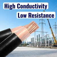 Cable Eléctrico Unipolar de Alta Calidad de 600/1000V con Conductor de Cobre, Aislamiento XLPE y Revestimiento de PVC para Uso en Electrodomésticos