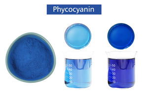 Phycocyanine de qualité industrielle, prix <span class=keywords><strong>en</strong></span> gros, extrait de spiruline bleue biologique, E18 E25 E40, <span class=keywords><strong>poudre</strong></span> de phycocyanine - Product Image 5