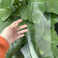 Feuille de PET transparente à haute adhérence, résistante aux UV, type fin, excellente flexibilité pour l'impression d'étiquettes, légère, taille personnalisée