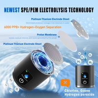 PHYFLOW Bouteille d'eau froide riche en hydrogène, modèle privé, sans BAP, technologie Tritan PEM, 8000ppb, chargement USB, 320ml, utilisation extérieure et automobile