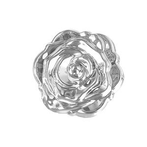 Miroir de poche portable à motif de roses, lentille argentée, pliable, miroir de maquillage de poche - Product Image 1