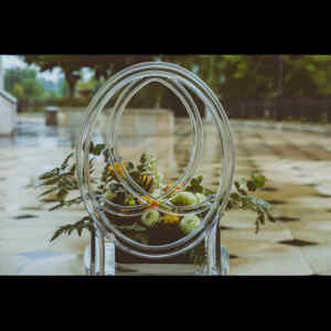 Chaises Phoenix en résine PC <span class=keywords><strong>Location</strong></span> de salle de <span class=keywords><strong>jardin</strong></span> pour événement de <span class=keywords><strong>mariage</strong></span> en gros - Product Image 5