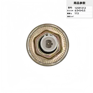 Capteur de cliquetis 12591312 pour remplacement et réparation de moteurs automobiles - Product Image 2